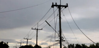 electricity poles, electrical poles