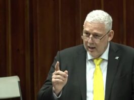 Allen Chastanet addresses parliament.