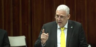 Allen Chastanet addresses parliament.