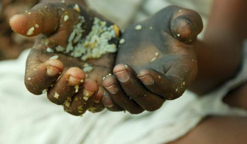 Hunger Neck World At Risk For Another Record Hunger Year - St. Lucia Times