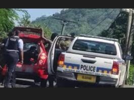 Police stop and check a vehicle.