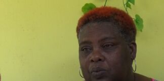 Theresa Harrow-Anderson, Mother of homicide victim.