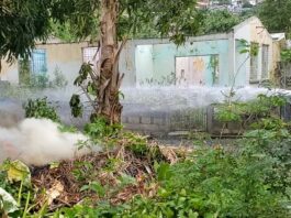 Firefighter with hose extinguishes bushfire at La Clery, Castries.