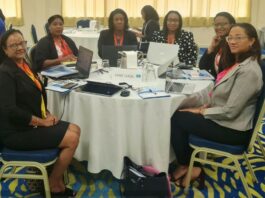 Saint Lucia delegation to health meeting in Grenada