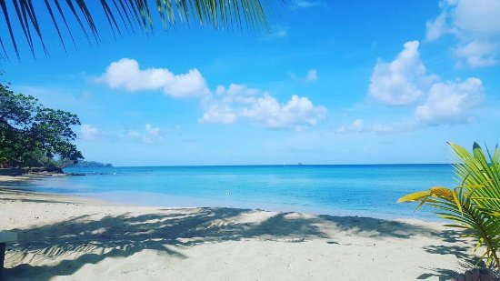 Beach with overhanging palm branches and partly cloudy sky above.