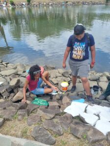 Male and female student paint rocks outside Serenity Park in Castries.