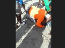Onlookers try to revive victim of suspected drowning by administering CPR