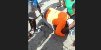 Onlookers try to revive victim of suspected drowning by administering CPR