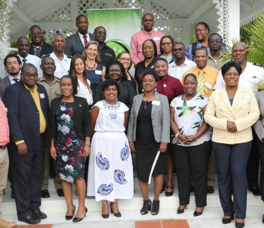Group photo of attendees at IOM meeting to discuss Eastern Caribbean cross border evacuations.