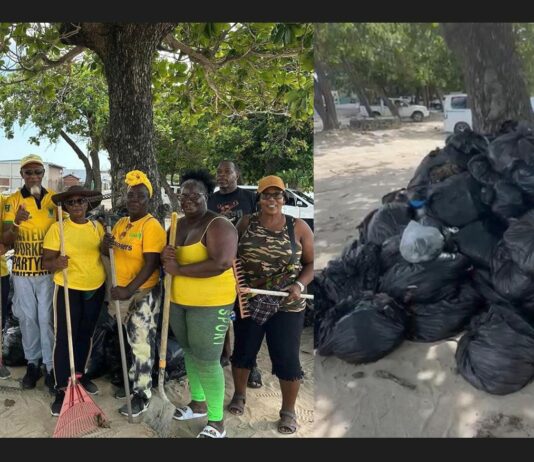 Split screen of bags of garbage and United Workers Party officials engaged in Vigie beach cleanup.