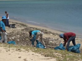 Volunteers clean up Vigie Beach.