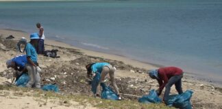Volunteers clean up Vigie Beach.