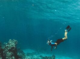 Undersea diver