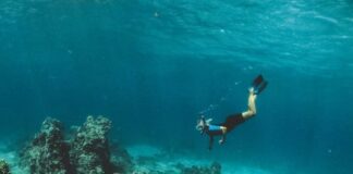 Undersea diver