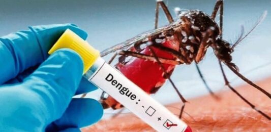 Test tube containing positive dengue fever blood sample with mosquito in the background.