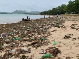 Marine litter on Vigie Beach