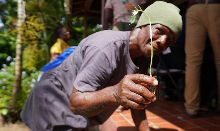 Vegetable farmer holds up seedling.