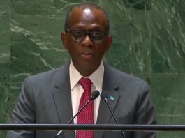 Philip J. Pierre addresses United Nations.