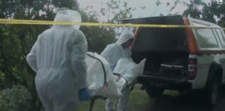 Investigators in white protective suits carry fatal shooting wrapped in white covering on a stretcher to a hearse.