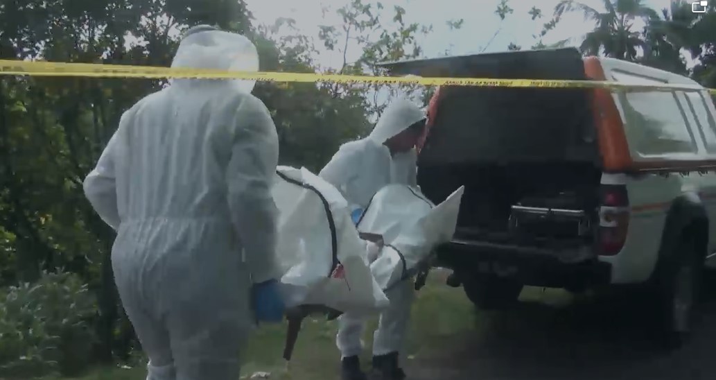 Investigators in white protective suits carry fatal shooting wrapped in white covering on a stretcher to a hearse.