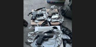 Three handguns seized by the police after dog sniffs them out.