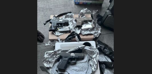 Three handguns seized by the police after dog sniffs them out.