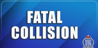 Words 'Fatal Collision' in white lettering against blue backdrop with police logo at the bottom right.