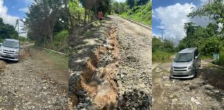 Photo collage of deplorable state of Guyabois Road in Saltibus.