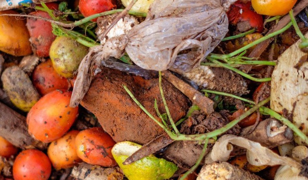 UN Concerned Over Food Wastage As Millions Go Hungry