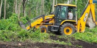 Backhoe clearing bush.