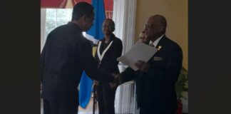 David Commissiong presents credentials to Saint Lucia's Governor General.