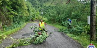 Canaries police clearing blocked road after Hurricane Beryl