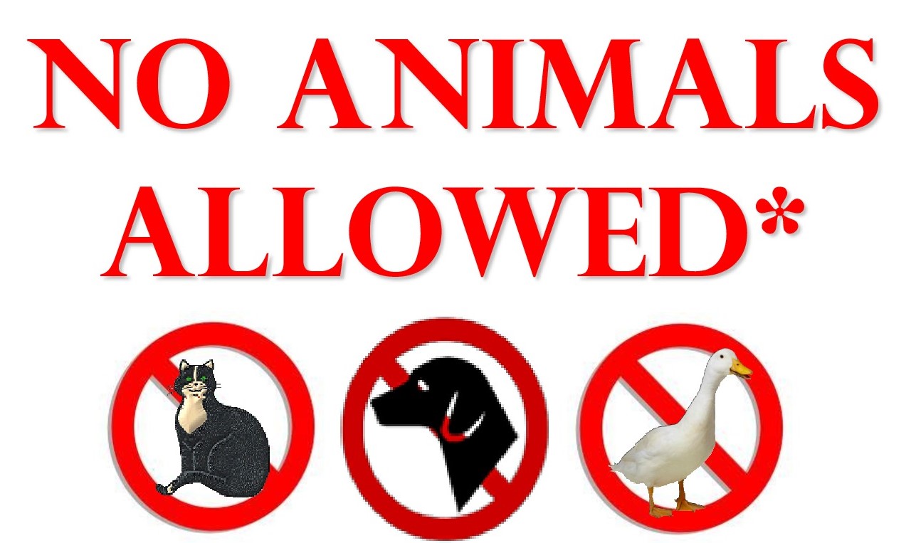 'No animals allowed' sign.