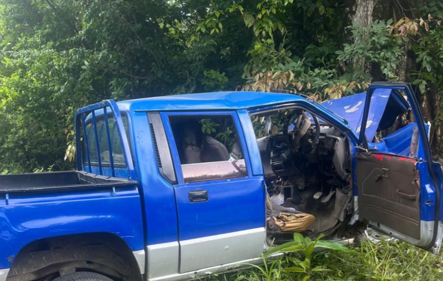 Mangled metal of Mitsubishi pickup after it ran off the road and collided with a tree at Desruisseaux.