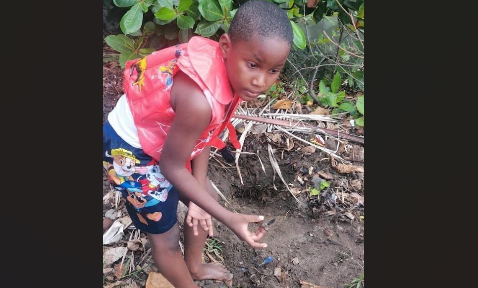 Sharzi with turtle hatchling.