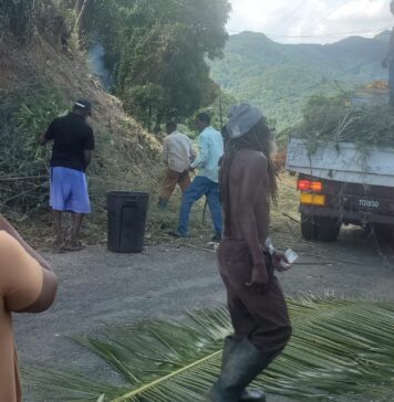 Morne Panache residents clean up their community to get rid of snakes.