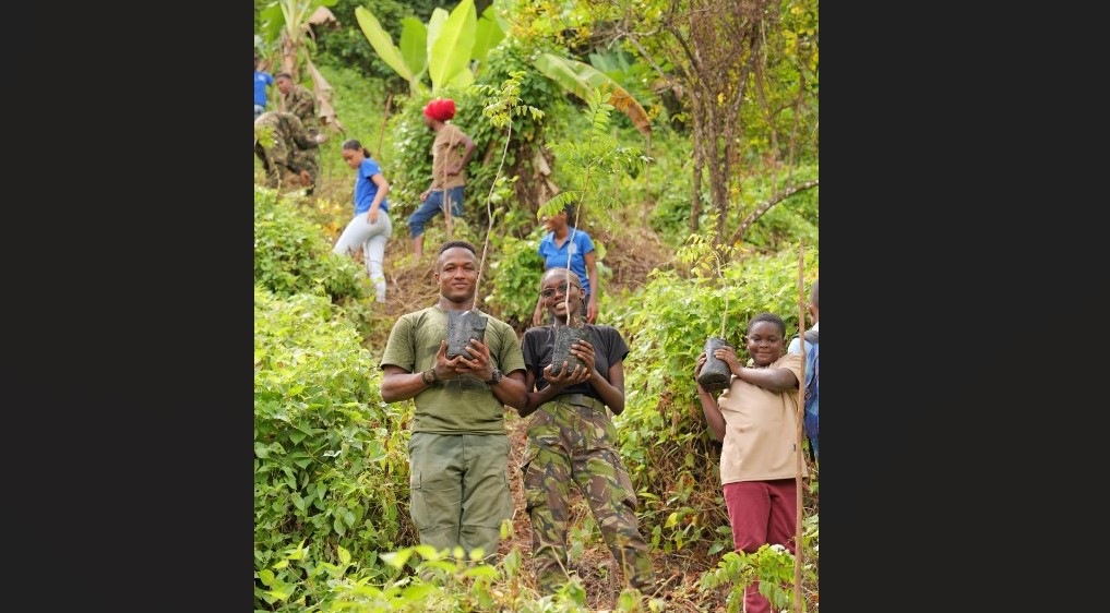 RSLPF tree planting.