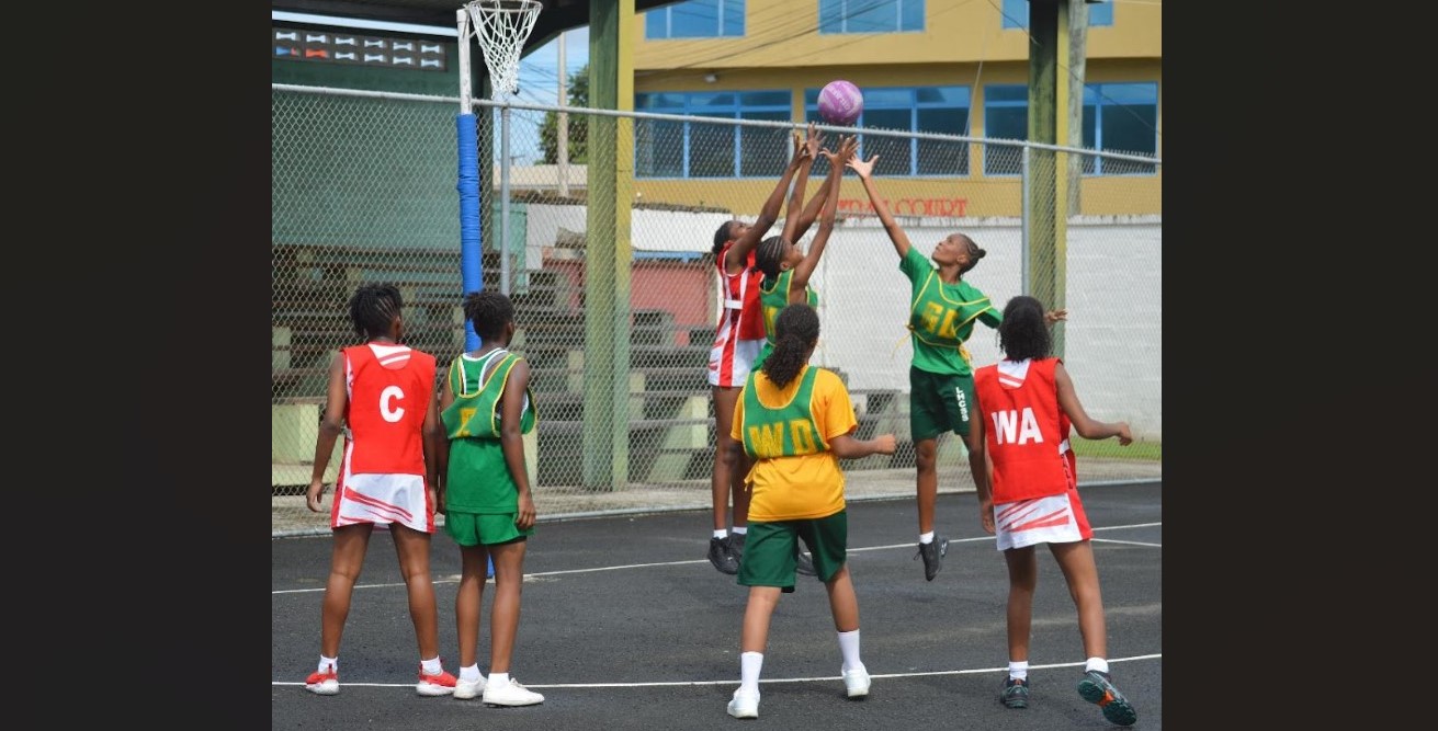 School netball