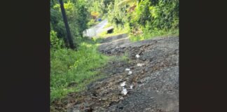 Cacao road