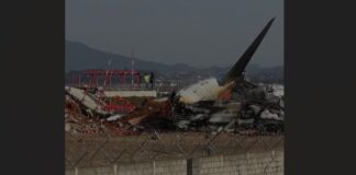 South Korea plane crash