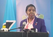 Gender Affairs Minister calls for renewed action on violence against women
