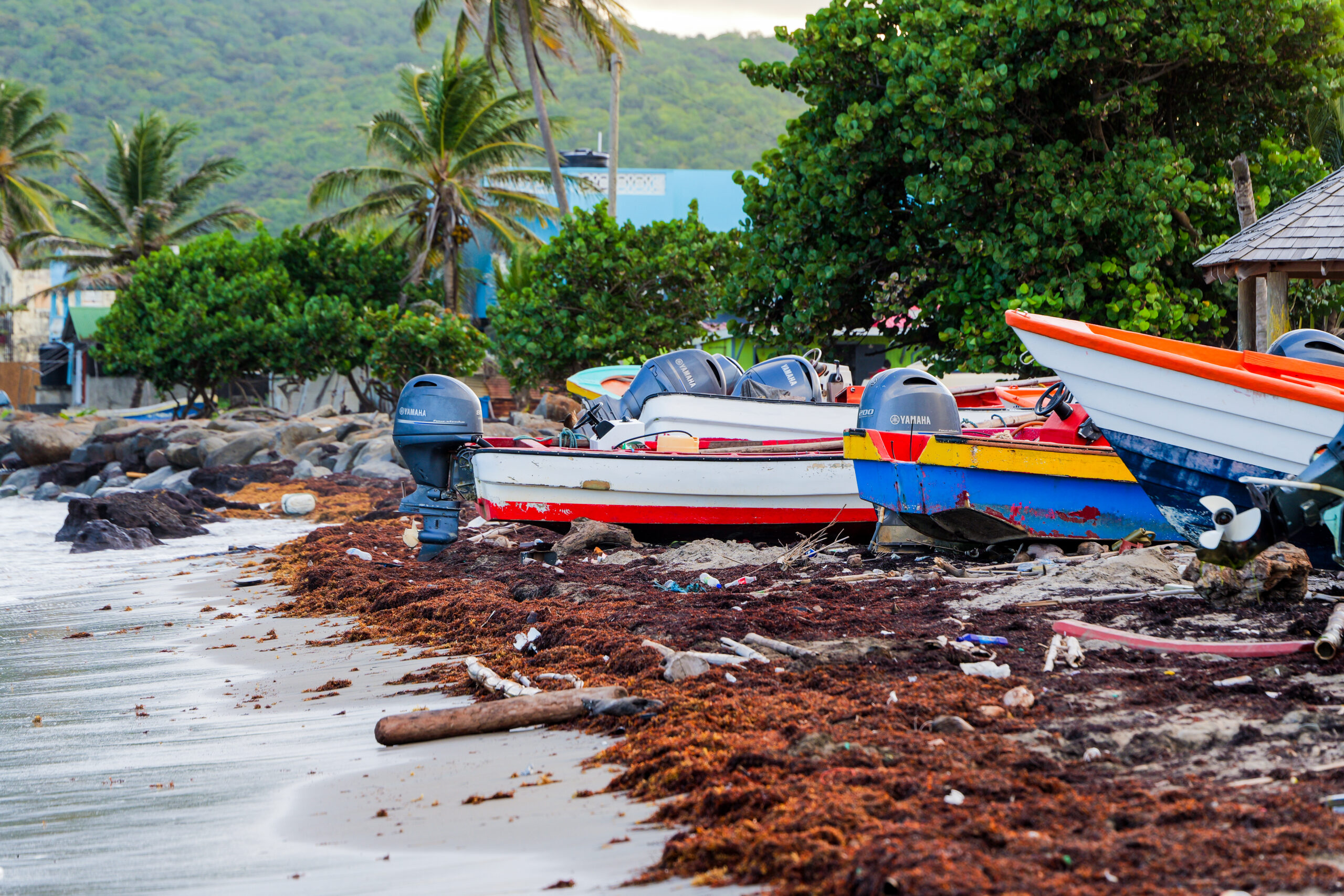 Sargassum clears, but fishermen recall harsh impacts
