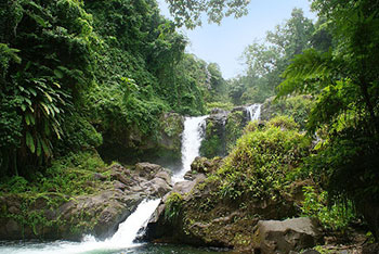 St Vincent and the Grenadines now one of the fastest growing tourism destinations