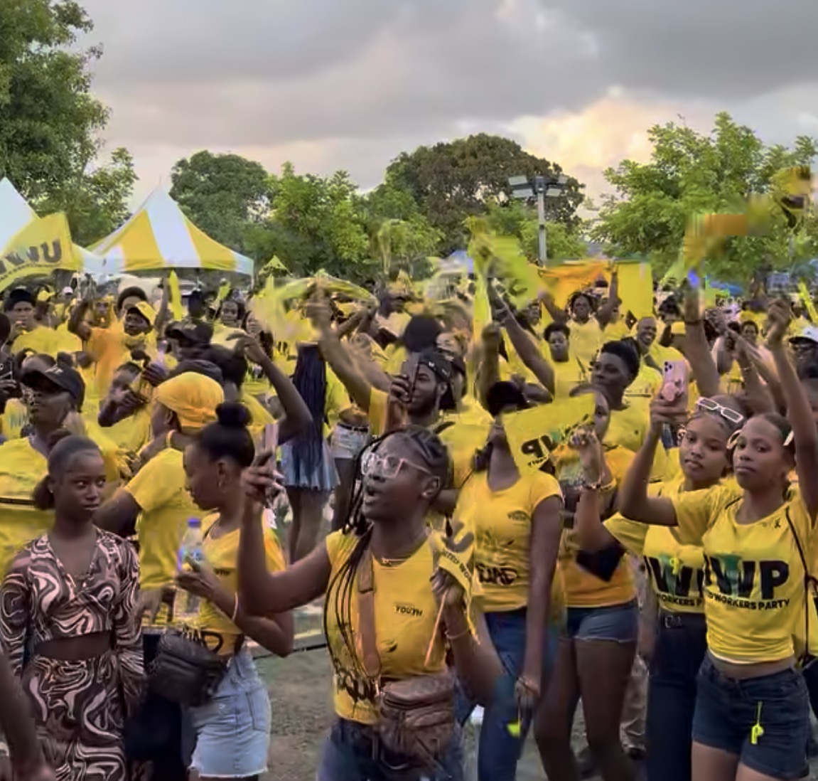 UWP pledges mortgage support, digital training in youth plan