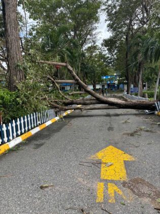 ‘Everything gone’: Hurricane Melissa leaves devastation in southern