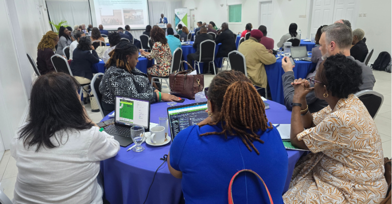 Apprenticeship summit charts path to skilled green workforce