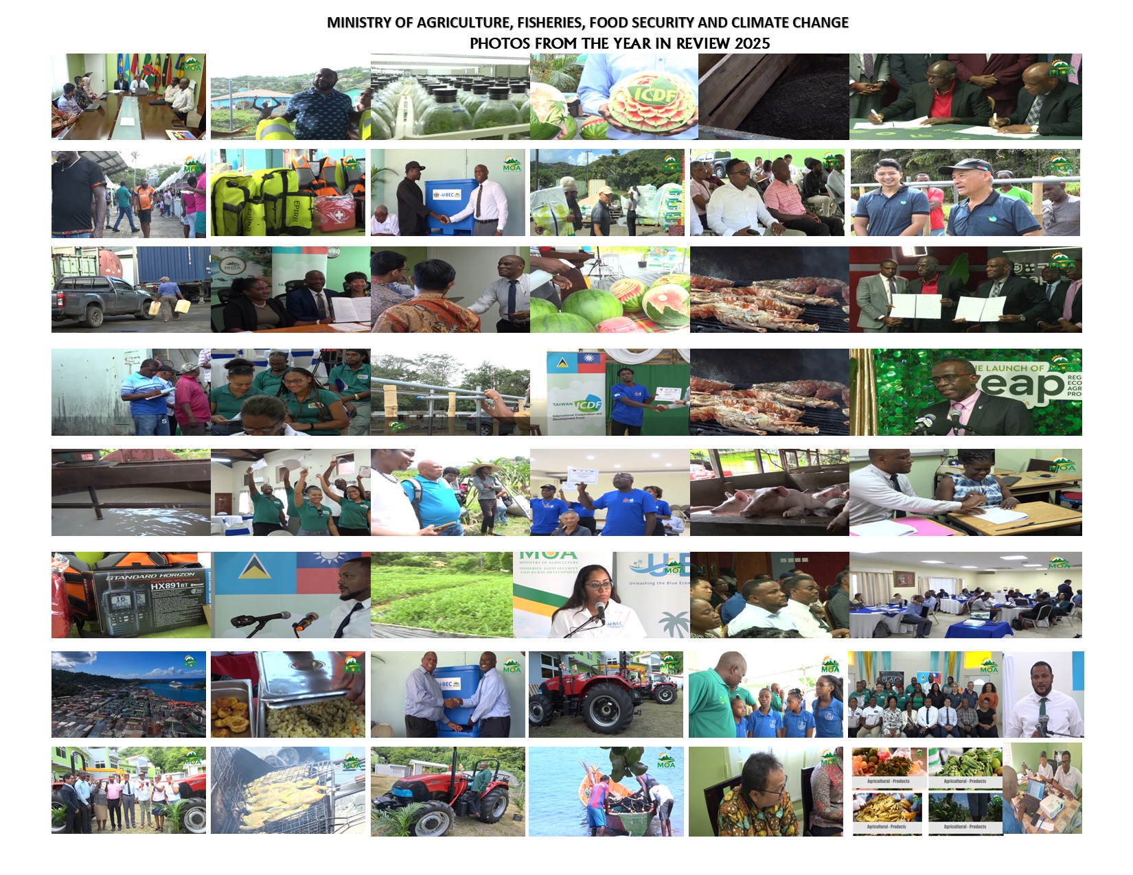 Agricultural sector recorded tangible gains in 2025, Ministry says