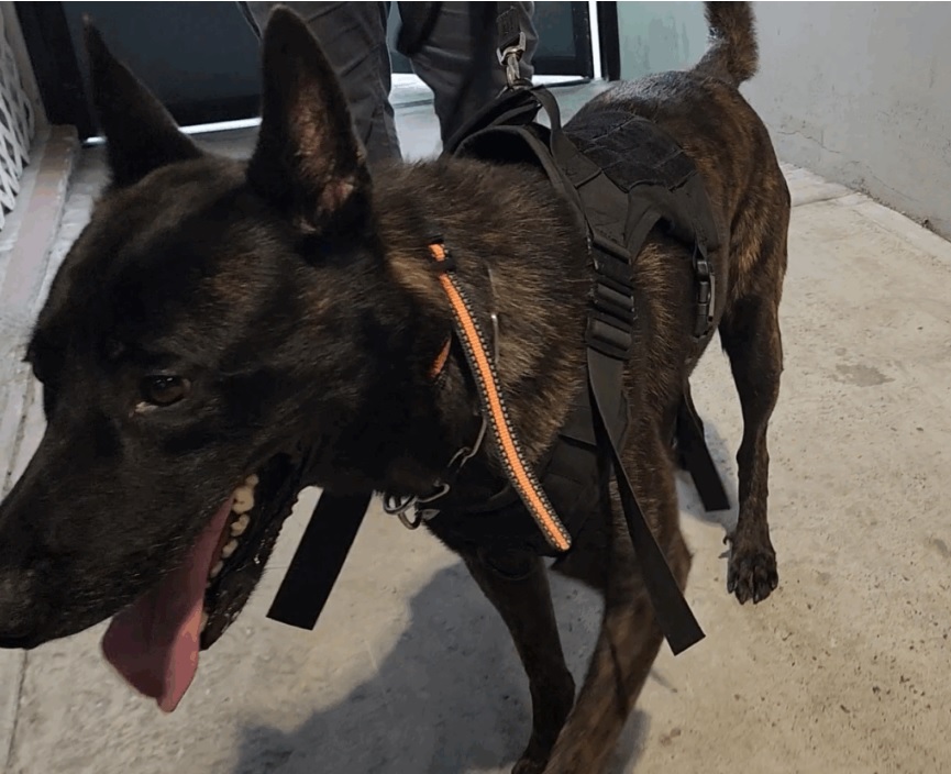 Police: Tyson did not die from poison