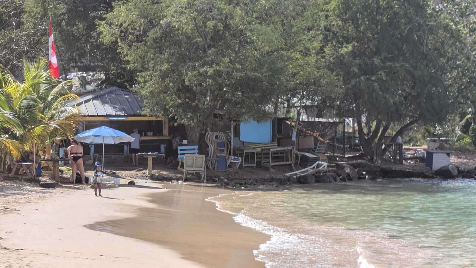 Government provides update on Marie’s Fish Shack