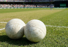 Millet/Vanard cruise into Veterans T20 Final with seven-wicket win